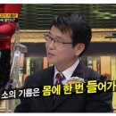 교동까페 교동섬