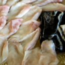 초원칼국수 이미지