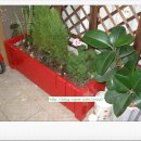 정화 뜨개방 이미지