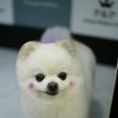 한우사랑동물병원 이미지