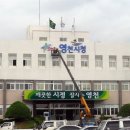 영남디앤지 이미지