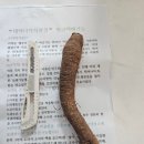 태백더덕직판장 이미지