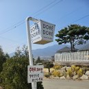 카페 데이지 | 강화도카페 마호가니강화점 데이지카페 솔직후기