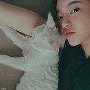 써니펫 이미지