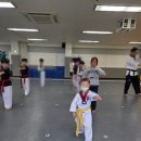 푸르른 태권도장 이미지