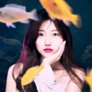 포토랜드스튜디오 네이버블로그