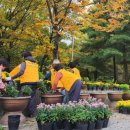 강촌공원 이미지