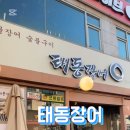 태동장어 이미지