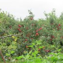 대교2길 이미지