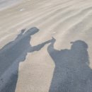 샬롬정원