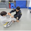 화랑합기도 주짓수 금촌도장 이미지