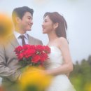 다게르 이미지