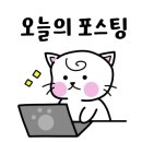다옴네일&스킨
