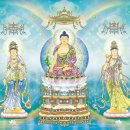 개로 환생하는 이유 이미지