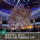 황금나무 | 마카오 가볼만한곳 윈팰리스 분수쇼 윈마카오 황금나무