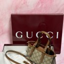 구찌구찌 | 구찌 미니백 내돈내산 후기｜구찌 GG 엠블럼 미니백 솔직 리뷰