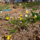 우체국길 이미지