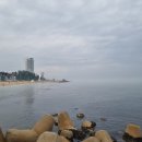 평창in게스트하우스 | [여행기록] 바다보고 맛있는 거 먹는 강릉 힐링 여행(1/2)