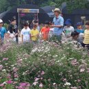 안성동신초등학교 이미지