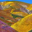 평원목장 이미지