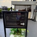 오추리야외운동기구 | 아난티 앳 부산 코브 시설 이용 후기 / 야외 수영장, 맥퀸즈 풀, 피트니스, 사우나, 해안 산책로