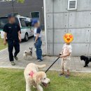 ICHEON200 네이버블로그