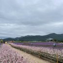 철원고등학교 이미지