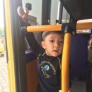 [안전교육] 어린이 통학차량 안전교육 이미지