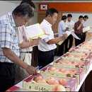 [충주] 전국 제일의 ‘명품 복숭아’ 한자리에 이미지