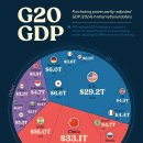 GDP(PPP) 기준 세계 20대 경제권 이미지