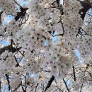 우리슈퍼 이미지