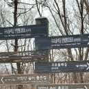 부천 와룡산~국기봉~무릉도원 수목원 (2024.3.5) 이미지