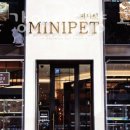 미니펫 강아지분양 고양이분양 수원점 이미지