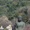 단국대학교 버스승차대기실 | 2026년 4월 천안 가볼만한곳 벚꽃 산책 각원사(覺願寺)