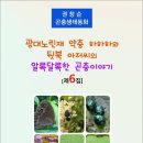 광대노린재 약충 하하하와 뒷북 아저씨의 알록달록한 곤충이야기 [제6집] / 권창순 곤충생태동화 (전자책) 이미지