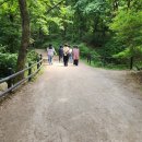 이재근 | (후기)이재근영화치료_길버트 그레이프_자기돌봄 코칭센터(24.05.18)