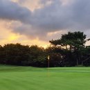 베네스트 이미지