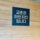교촌치킨고잔 - 안산시 단원구 와동1로 49 | 교촌치킨고잔