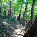 미륵산둘레길 이미지