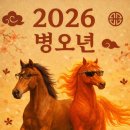 서독안경원 이미지