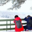 설화목장 이미지