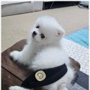 주식회사 카브 이미지