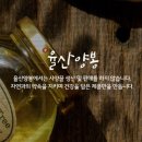 농업회사법인율산양봉(주)