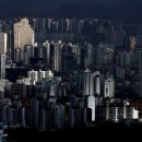 리얼인사이트