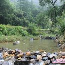 영월약수터 오토캠핑장 이미지