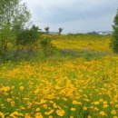 북면수변공원(야구장) 이미지