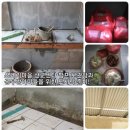 아이센타 이미지