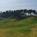 성주성산동고분군전시관 이미지