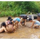 둥구나무민박 이미지