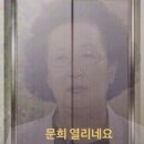 함경옥 이미지